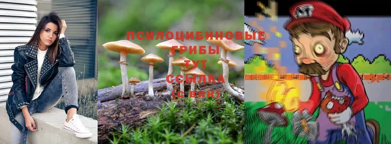 ссылка на мегу рабочий сайт  Баймак  Галлюциногенные грибы Magic Shrooms 